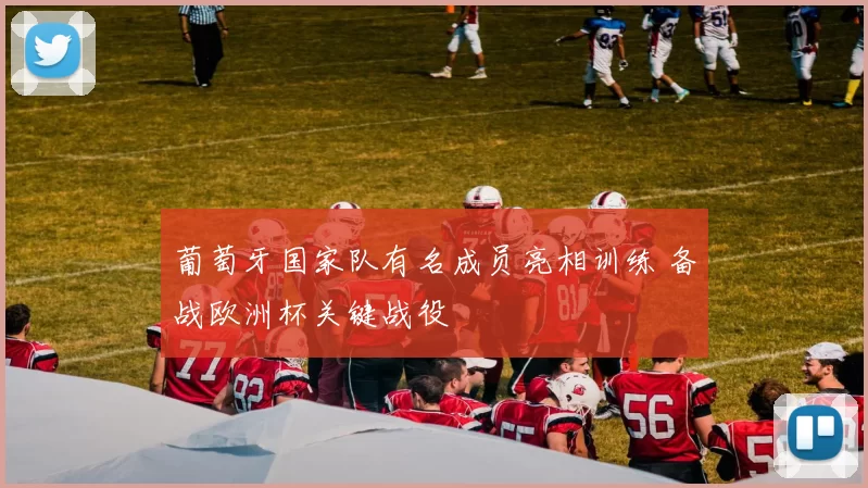 葡萄牙国家队有名成员亮相训练 备战欧洲杯关键战役